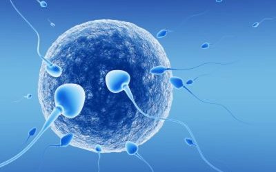 Best IVF Treatment Centre in Panchkula