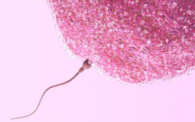 Lifestyle Factors Affecting Fertility