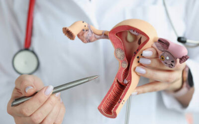 Looking for Expert Women’s Health Services? Meet Best Gynecologist in Panchkula