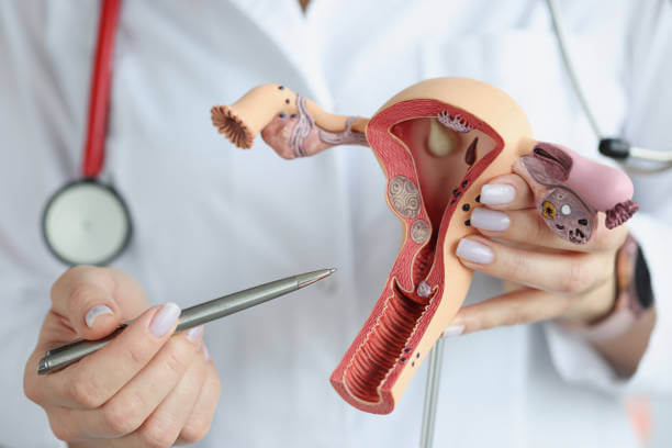 Looking for Expert Women’s Health Services? Meet Best Gynecologist in Panchkula