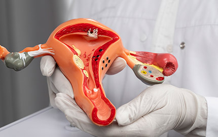 Top Clinics Offering the Best Gynecologist Services in Panchkula