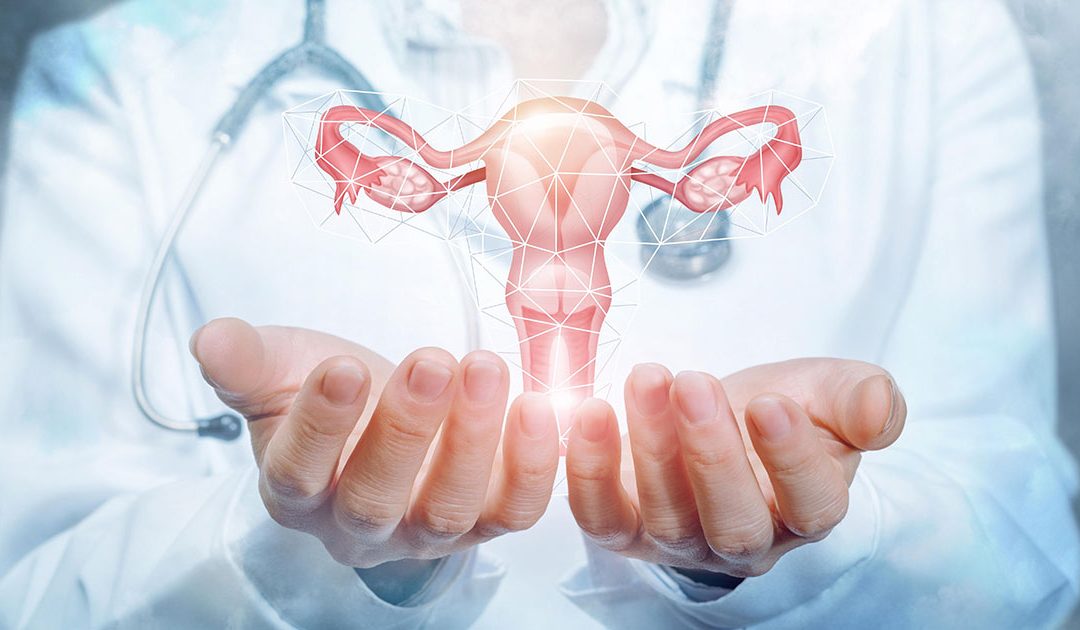 best gynecologist in Panchkula